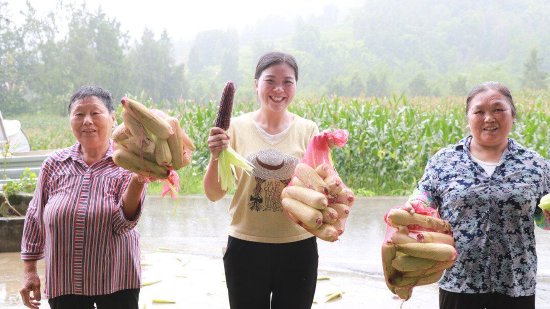 喜迎丰收，村民脸上洋溢着幸福与喜悦
