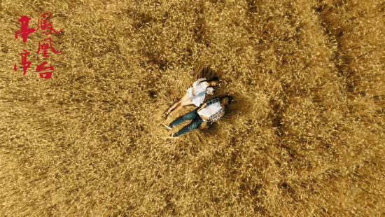 《亭亭凤凰台》电影剧照