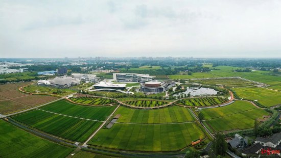 ▲天府现代种业园 资料图