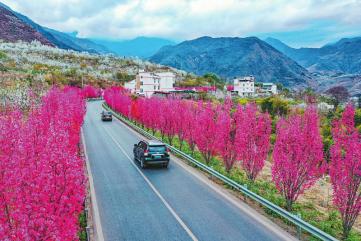 春暖花开，雅安市汉源县九襄镇高速公路连接道成为网红打卡地。