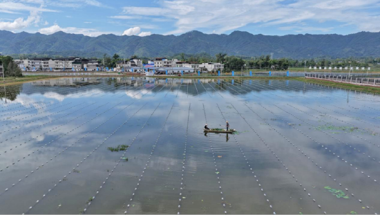 珍珠蚌养殖基地