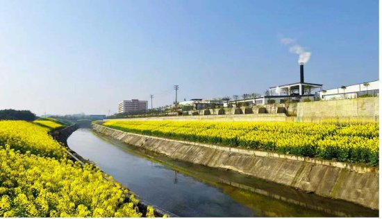 四川达州 | 两县联治“老大难”，五年交出满分卷----达州市东柳河