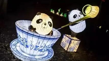 在波兰首都华沙,胖墩儿表演蒙顶山龙行十八式茶技