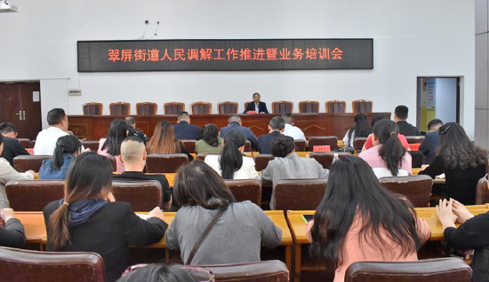 翠屏街道举办以“人民调解工作推进暨业务培训会”为主题的“翠苗”行动第三期活动