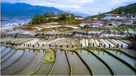 航拍五彩梯田