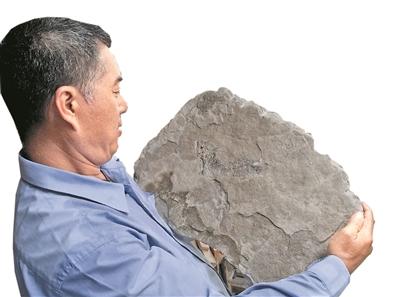 赵灿辉抱起一块鱼化石。