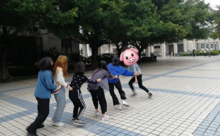 图:@杂丨杂