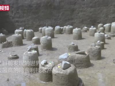 四川稻城出土东亚最成熟手斧