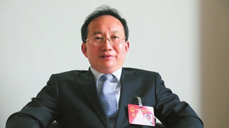 成都市人大代表、郫都区委书记杨东升。