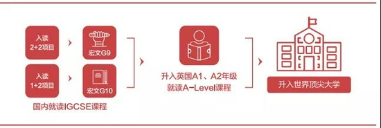 培养路径图