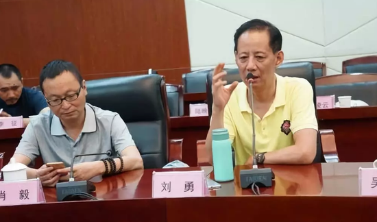 中广双董事局主席刘勇在研讨会上发言