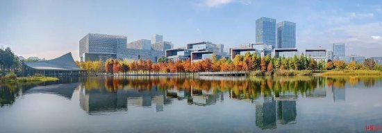 ▲成都冬日暖阳让楼群镀着暖光 摄影：伏若辰