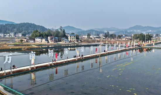 “渠县早虾”品牌推介会暨迎春消费季活动现场 裴雪岑/摄