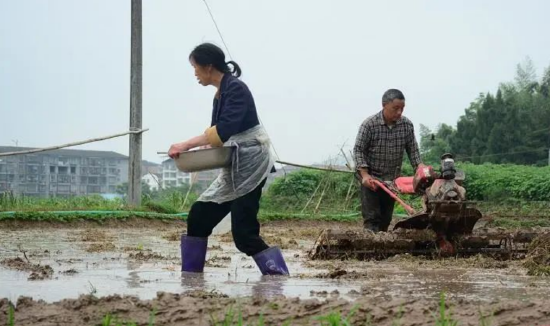 大竹县月华镇村民租用综合农事服务中心的机器耕种