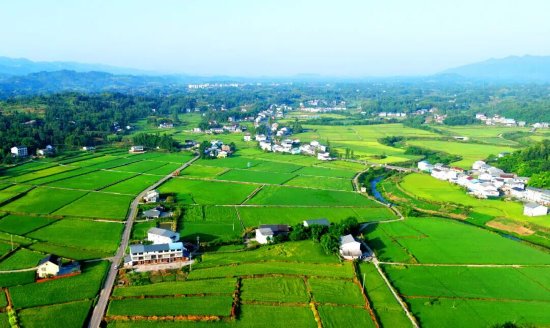 达川区粮油现代农业园区夏日盛景（拍摄于万家镇迎风村）