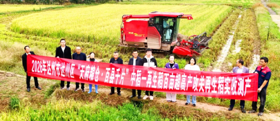 图为：市、区农业专家开展再生稻测产现场