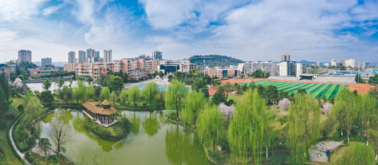 开江中学全貌