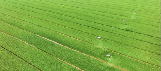 兴业银行成都分行：绿色减排“碳”出转型“兴”路子