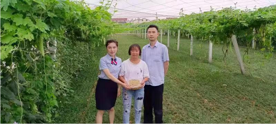 邮储银行工作人员走访麦冬种植基地