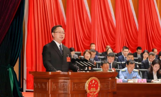 通川区人民政府代理区长朱挺向大会作政府工作报告