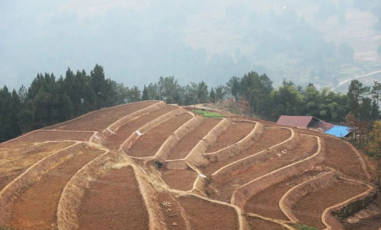 完成土地平整后的田块