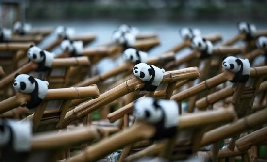图片“熊猫家园·大熊猫文化创意大赛”成果发布会现场 王效 摄