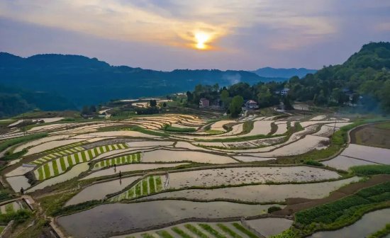 金石梯田尽显田园生机