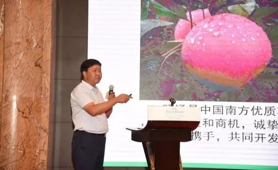 王翼董事长推介昭通苹果