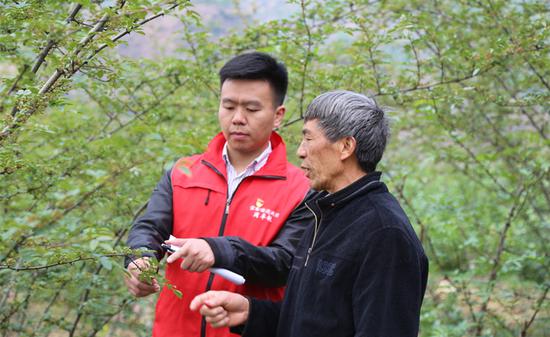 在花椒地，周卓锐（左）与村民探讨花椒管护技术