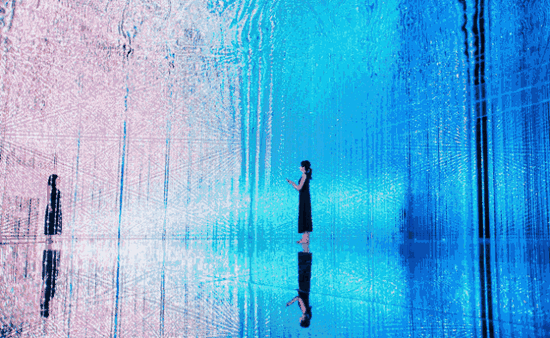teamLab 作品,图片来源于网络
