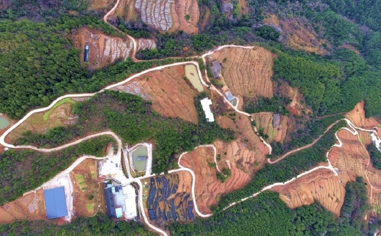 1月13日,無人機拍攝的關門鎮石廟村 “富興家庭農場”興建的700多畝烏梅、金銀花產業園與園中道路、池塘和四面青山、民居等構成一幅美麗的鄉村振興新畫卷。(攝影/劉曉龍 肖定懷)