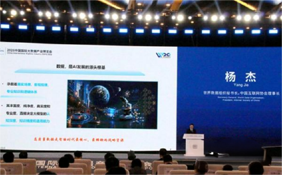 杨杰进行主旨演讲 摄影 罗淼