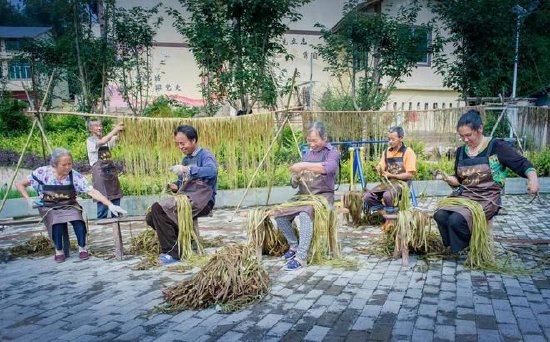大竹麻农正在剥麻、晒麻。林仁荣 摄