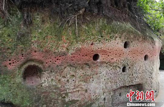 乐山大佛景区内一处满是孔洞的红砂岩壁。钟欣 摄