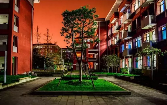▲夜色中的校园