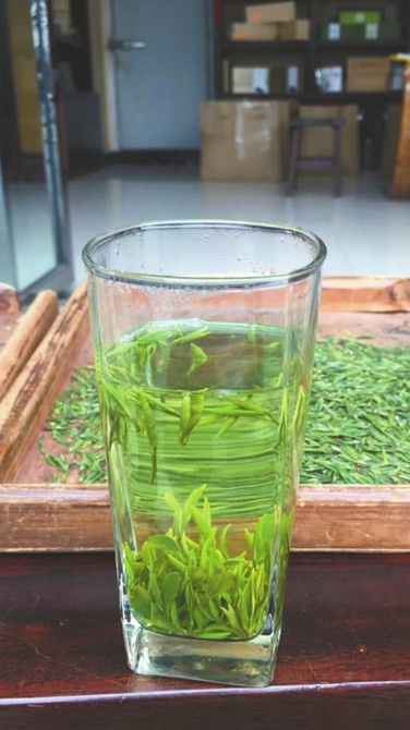 鲜叶制成干茶后,每斤卖1000元仍供不应求。