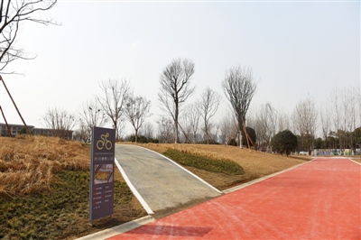 公园分离建设骑、行步道,打造生态景观