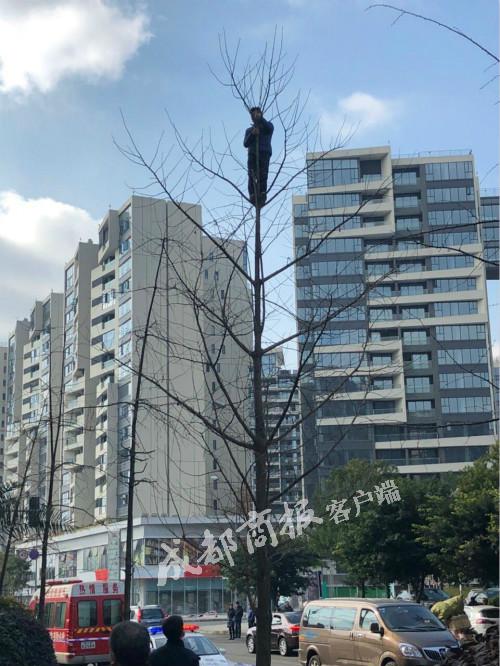 按揭二手车被担保公司收回 男子怒爬成都行道