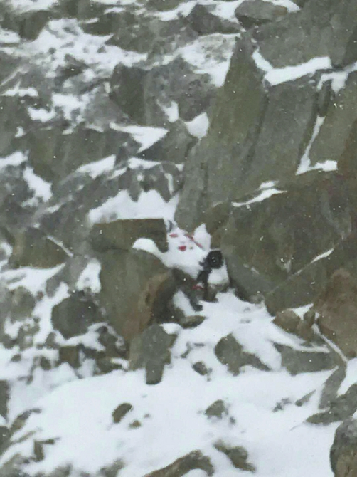 令人痛心:跌落悬崖,遇难女子已被大雪覆盖。 (四姑娘山景区供图)