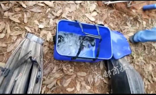 用药泥鳅作饵泥鳅党肆虐黑龙滩 18人被列入黑