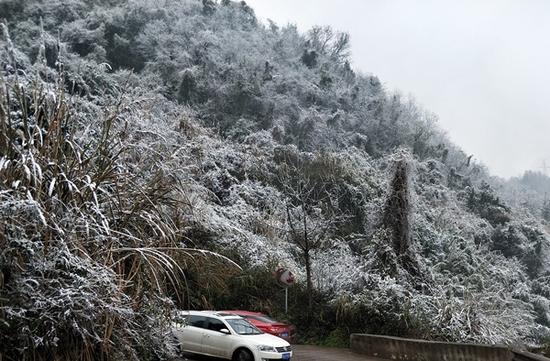 达州凤凰山雪景(图据网友“xrl228”)
