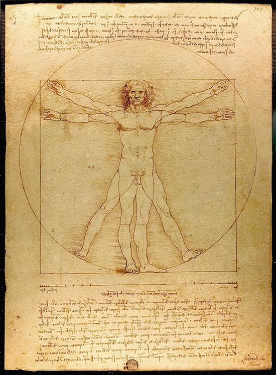 《维特鲁威人》(Vitruvian Man),达?芬奇,约1487年,钢笔和墨水,34.4厘米×25.5厘米,威尼斯的学院美术馆