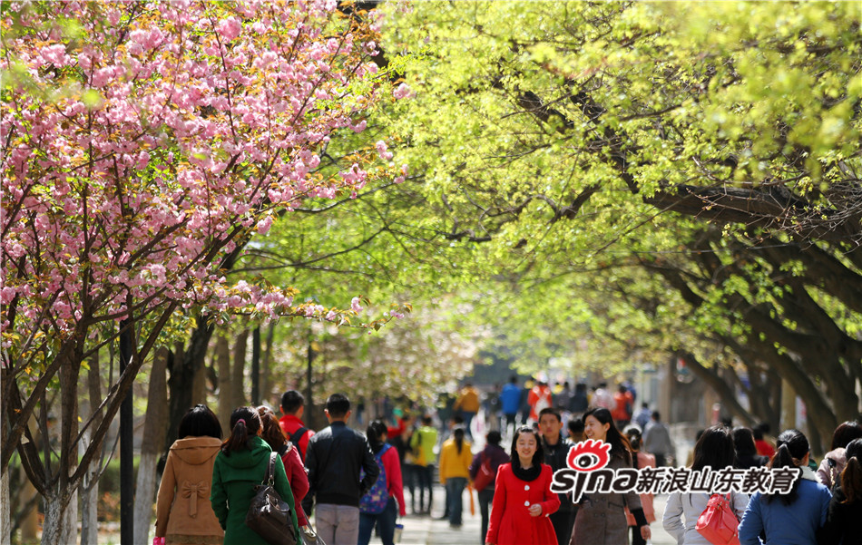 走进山东师范大学之登攀拾英