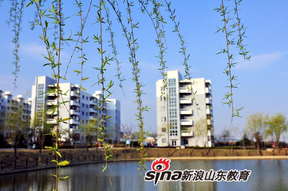 青岛酒店管理职业学院校园风光