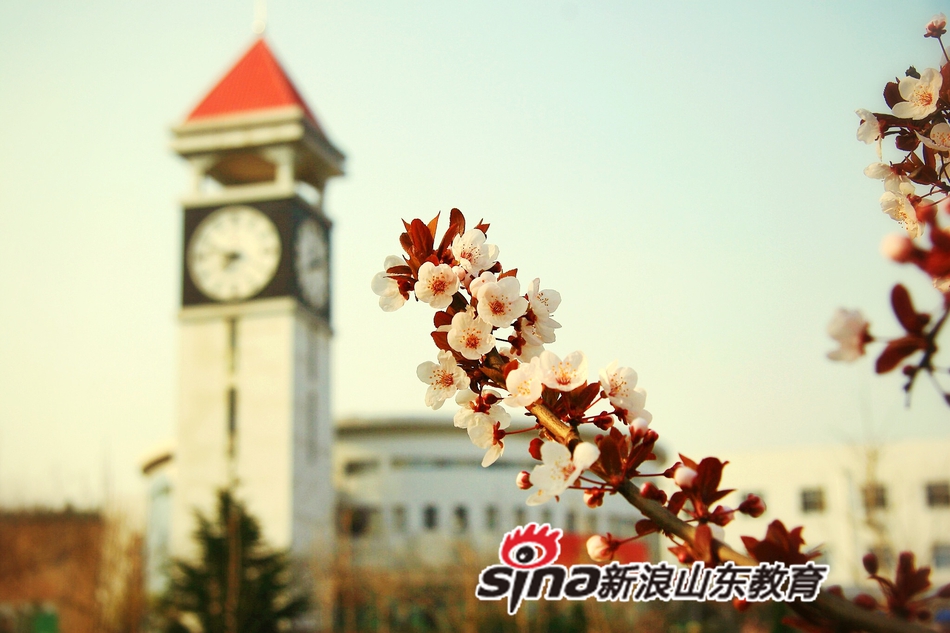 青岛酒店管理职业学院校园风光