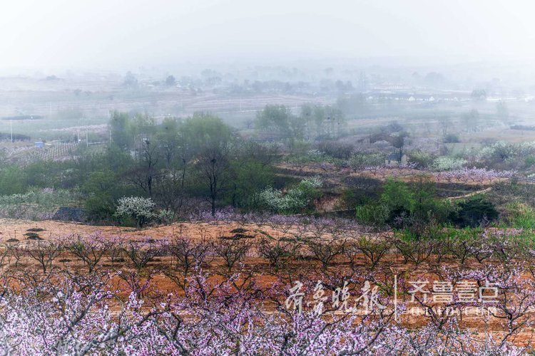 文登有多少人口_北流隆盛镇有多少人口
