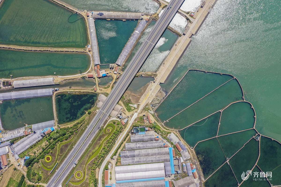 青岛董家口gdp_山东青岛 董家口经济区迷人的发展风景线(3)