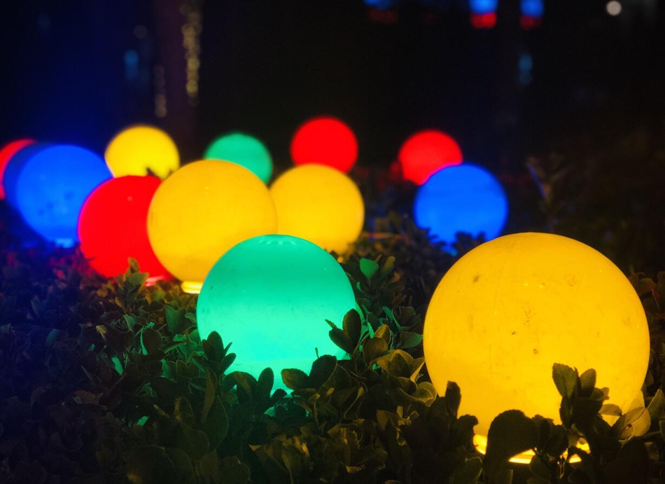 黄色的灯泡花 u7mX-htfpvza1261986.jpg