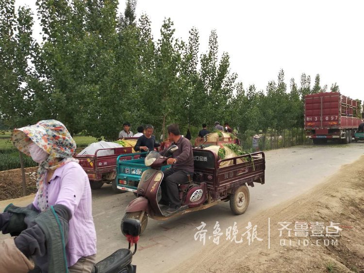 商河白桥人口_商河老豆腐(2)