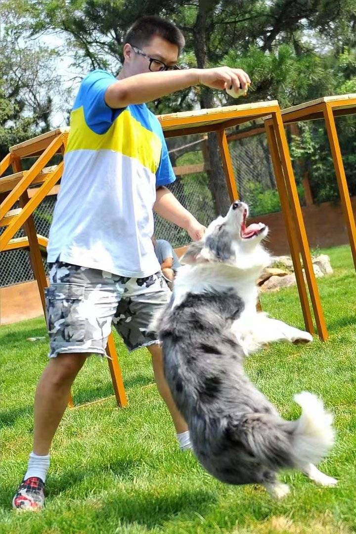廿亩内人口_人口普查图片